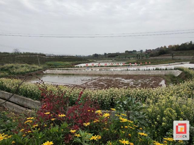 永安镇春耕备耕有序开展确保粮食稳产高产