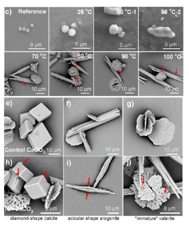 烧水的过程中微塑料与碳酸钙结合后沉淀，研究截图