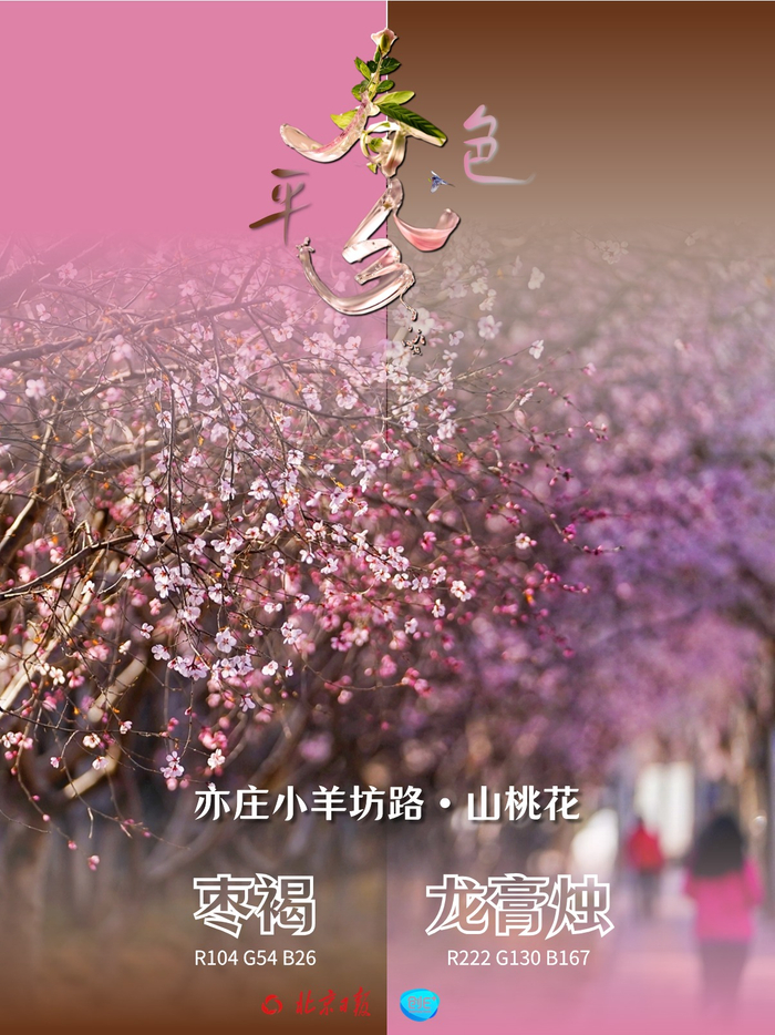 刚刚好|致中和|山桃_新浪新闻