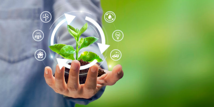 丹麦王国驻华大使馆公使衔参赞高尔敦:丹麦虽然小,却是绿色舞台上的大