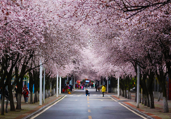 游黔景尝一口贵州的热辣滚烫