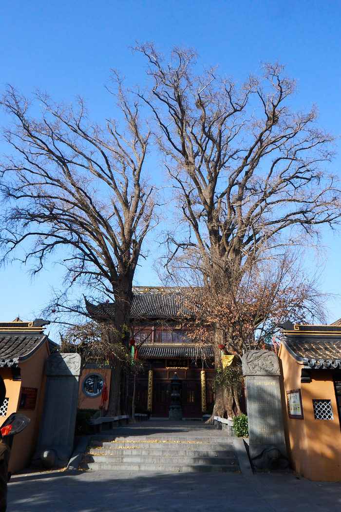 上海青浦东厍村打造文旅融合的乡村自然美学