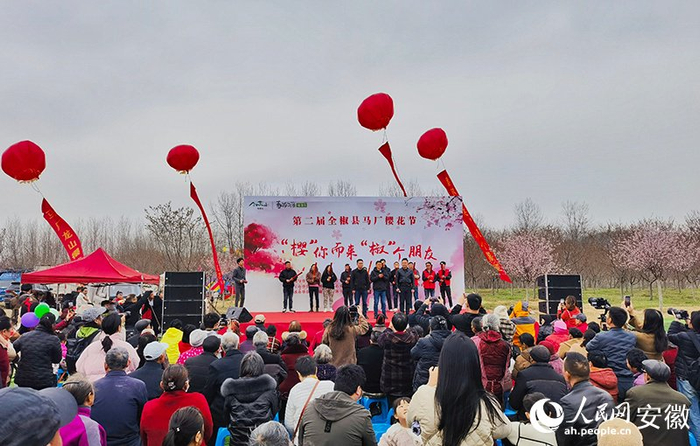 樱你而来椒个朋友第二届全椒县马厂樱花节开幕