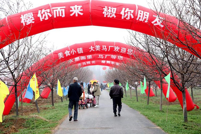樱你而来椒个朋友第二届全椒县马厂樱花节开幕