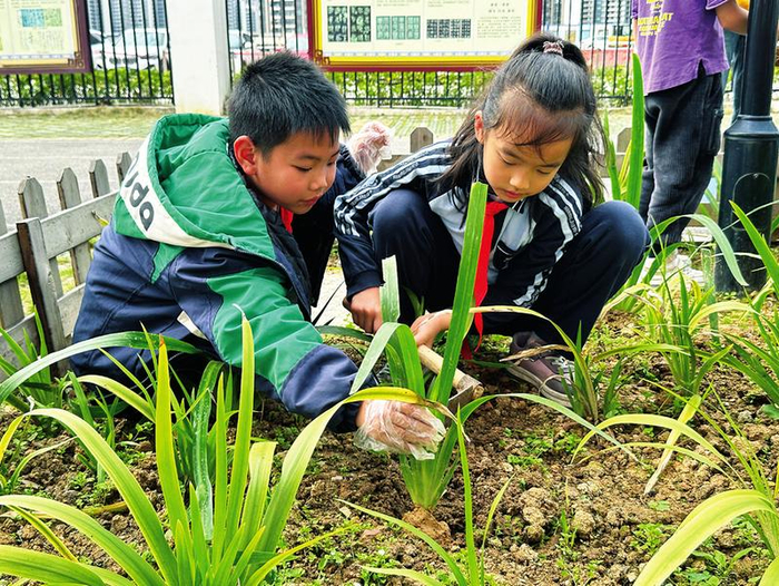南宁市越秀路小学在学校 "童秀坊"种植基地开展蔬菜种植活动.