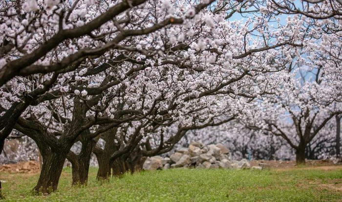 含各区县,超多打卡线路推荐|济南市_新浪新闻