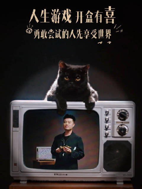 盒子里的猫里有赫子陈赫勇敢尝试的人先享受世界