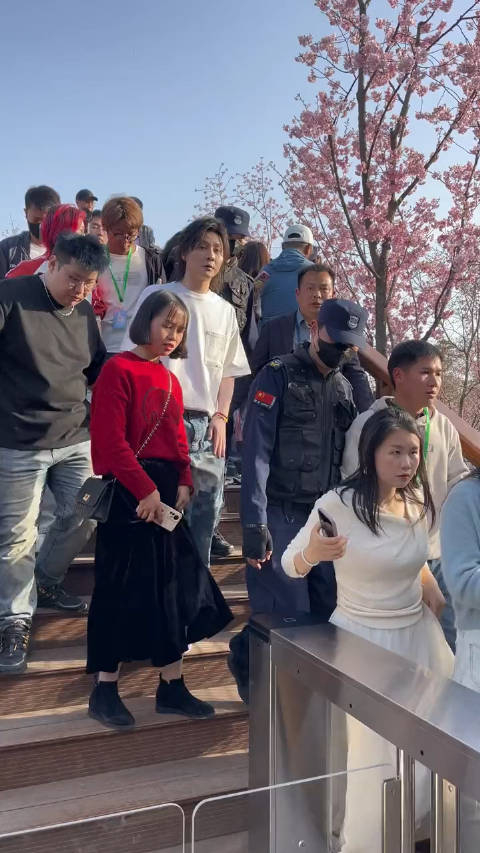 武汉东湖樱花园偶遇游戏达人博主张大仙