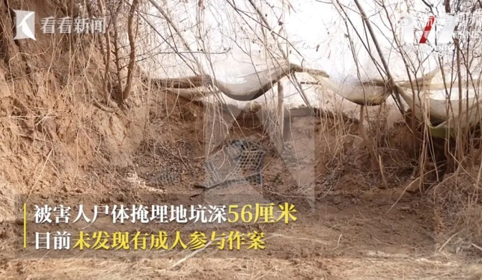 杀人的邯郸少年:死刑困难,更多细节披露