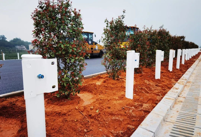 白色隔离护栏整齐成排。