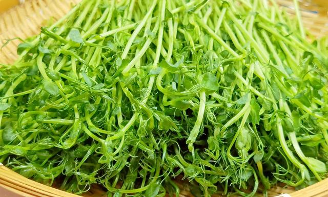 食用油|豌豆苗|菠菜_新浪新闻