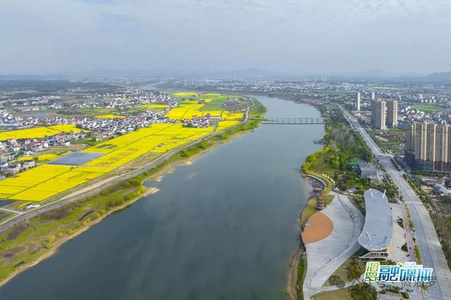 春天来汨罗拍照很出片!|花海_新浪新闻