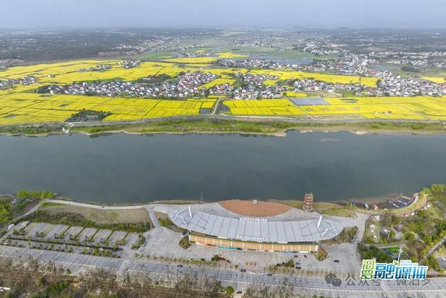 春天来汨罗拍照很出片!|花海_新浪新闻