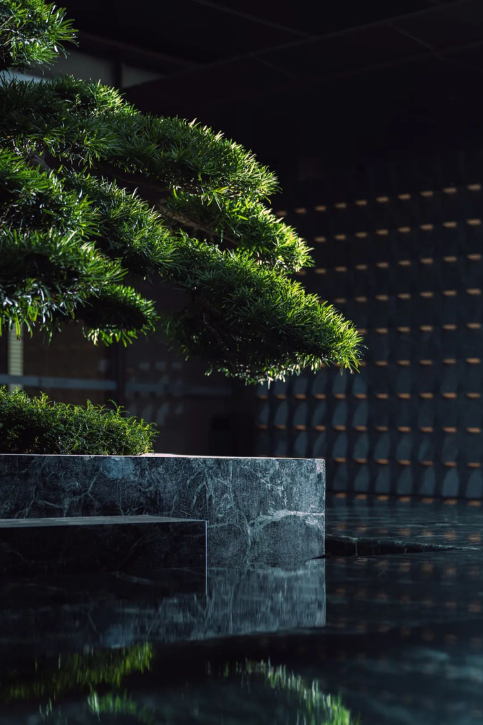 备受关注的好房子,在这里蔚为大观|新城|华发|园林_新浪新闻