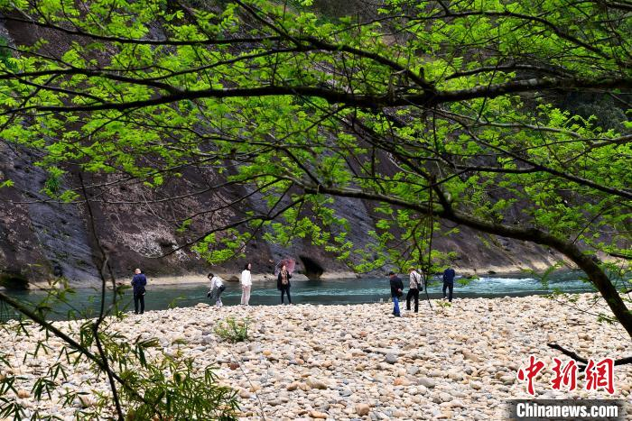春日武夷风景如画