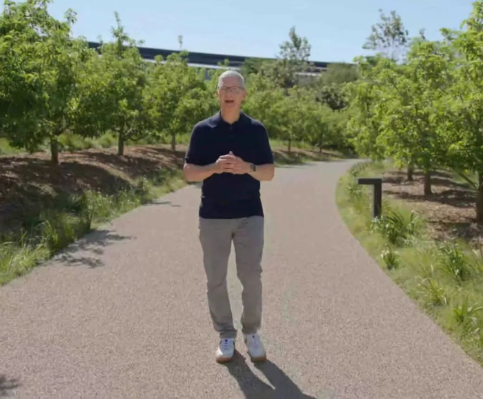 郑恺|库克|上海市_新浪新闻