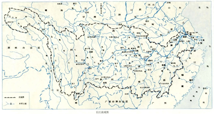 长江发现罕见生物群!禁渔没有白费,鱼儿黑压压一片:60年一遇