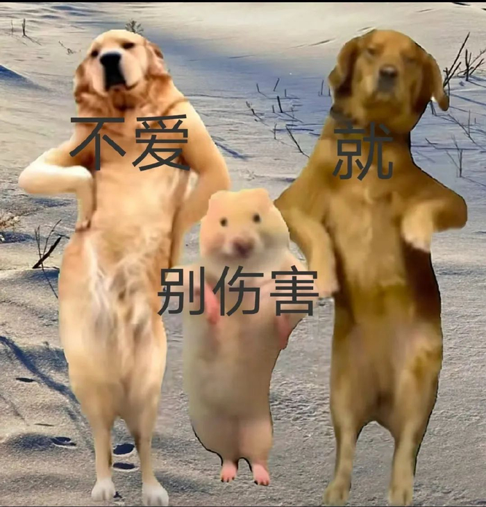 狗子睁着还带有眼屎的双眼:(via.