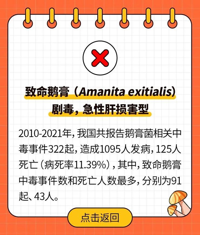 已有人进 icu……|野菌|野菜|中毒_新浪新闻