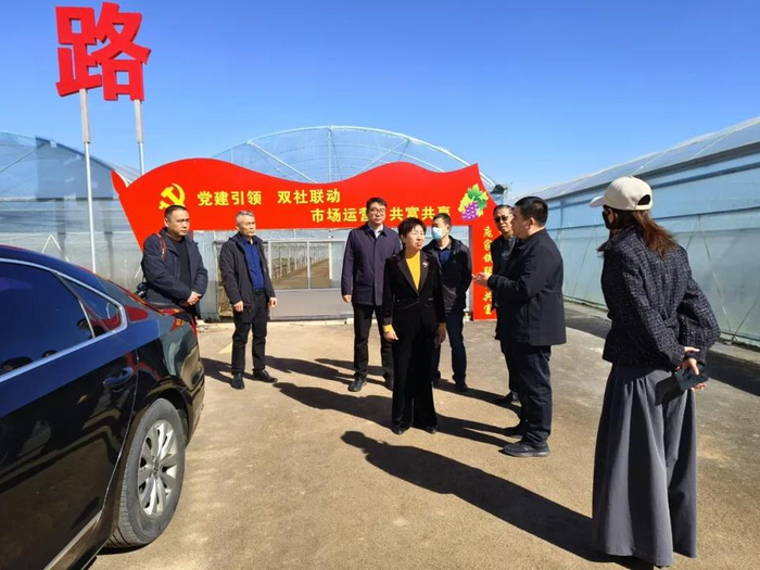 张秀葵一行到博兴县庞家镇开展设施农业大棚安全生产检查