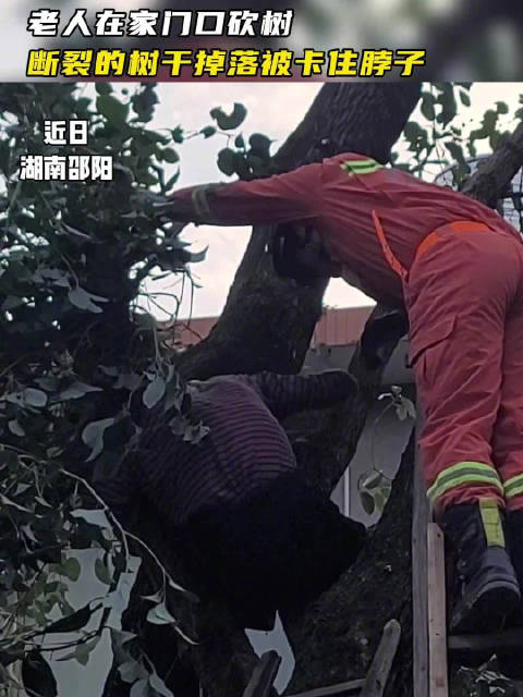 老人爬高砍树被断裂的树杈卡住脖子
