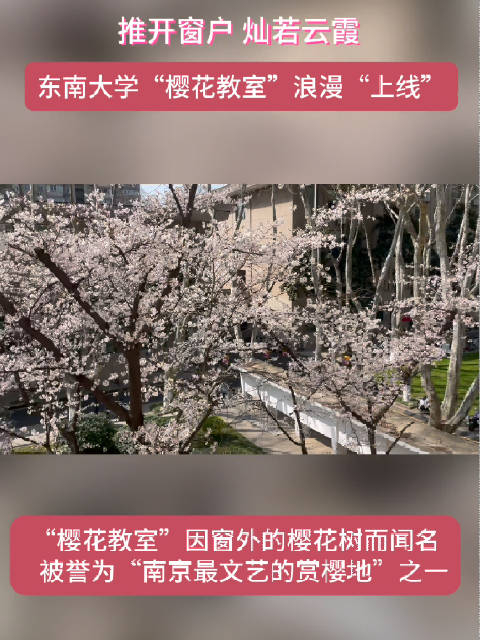 推开窗户灿若云霞东大樱花教室浪漫上线