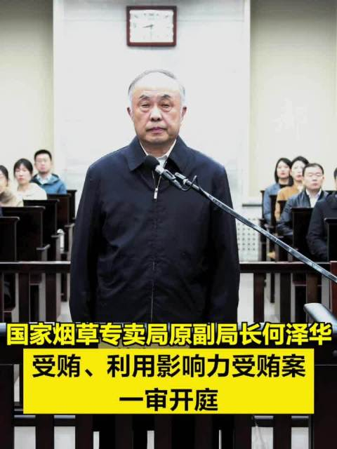 国家烟草专卖局原副局长何泽华受贿利用影响力受贿案一审开庭非法受贿