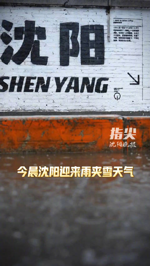 沈阳今晨迎来雨夹雪天气
