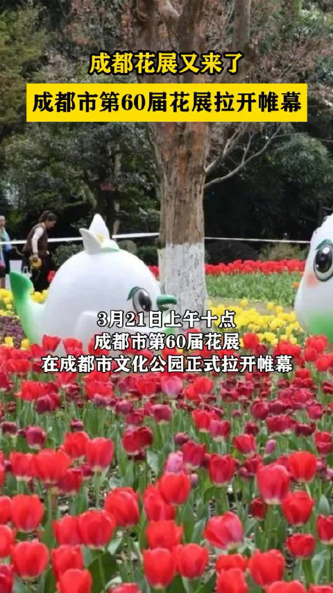 成都第六十届花展开幕了约120种花卉免费观赏