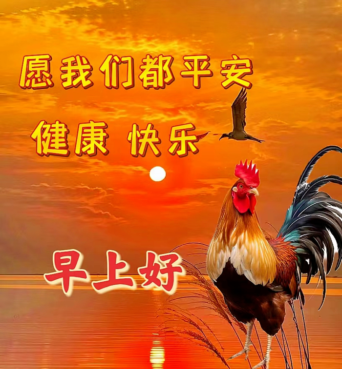 2024年3月22日周五早安,今天刚出最新早上好图片,早上好最漂亮的图片