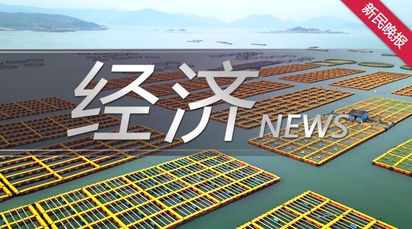 加快形成新质生产力上海3个未来产业先导区交出一周年成绩单