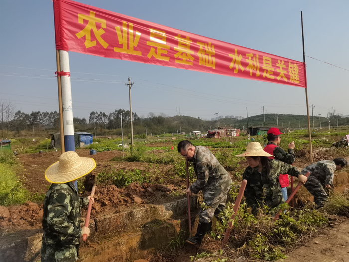 上林县明亮镇:植树造林添绿意 兴修水利助春耕|春耕|上林县|水利_新浪
