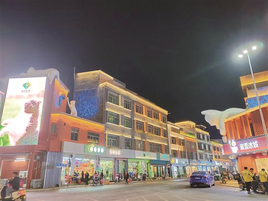 惠州永汉镇以猫文化ip带动镇域经济发展