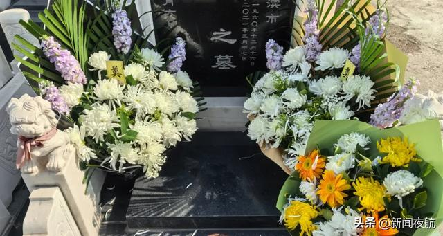 本周末哈尔滨市将迎首个祭扫小高峰|清明节|哈尔滨市_新浪新闻