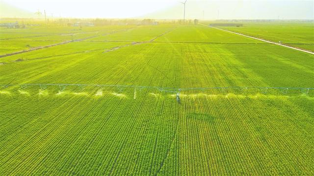 春耕春管正当时 农田尽显科技范(在希望的田野上)|春管|春耕|农田
