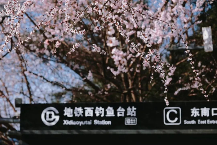 最近北京海淀这个地铁口刷屏了