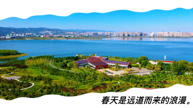 这是专属于山西人的春天仪式感～|香椿|荠菜_新浪新闻