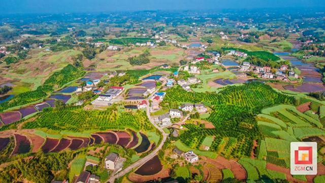 和美乡村入画来——自贡市全面推进乡村振兴见闻