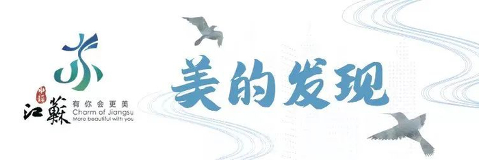 周末去动物园邂逅春日小美好|红山森林动物园|动物园|棕熊_新浪新闻