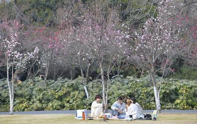 花团锦簇万紫千红郑州今天又有两个花展开幕