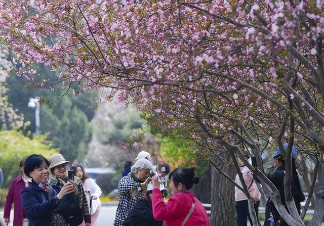 花团锦簇万紫千红郑州今天又有两个花展开幕
