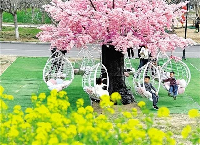 市民在丰乐樱花园玩耍