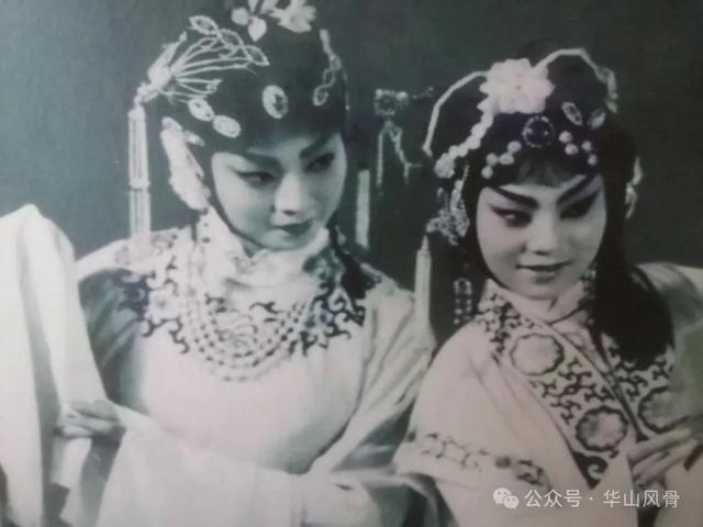 话说渭南丨碗碗腔走出渭南后