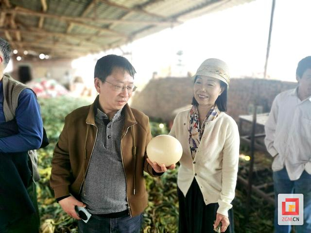 荣县味道有望写进"川菜志"|川菜|味道|麻辣_新浪新闻