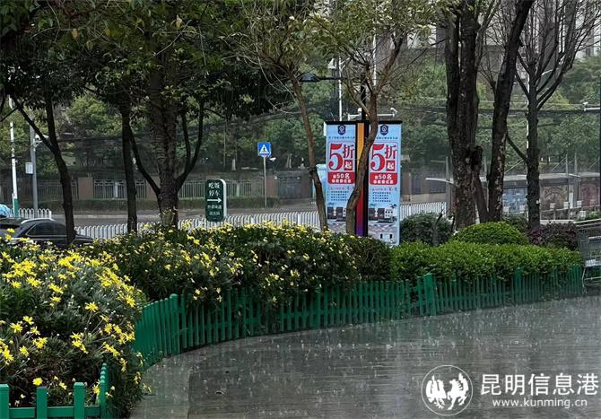 带埋怨地说:"哎,赶上了昆明三百天一遇的雨……"还配了一个抓狂的表情