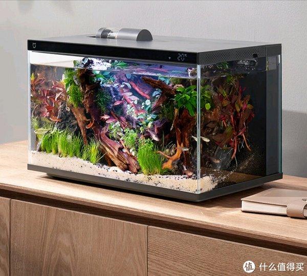 水族箱图片及价钱大全图片