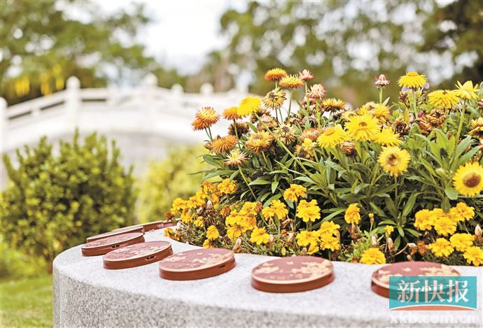 广州增城正果万安园一角.