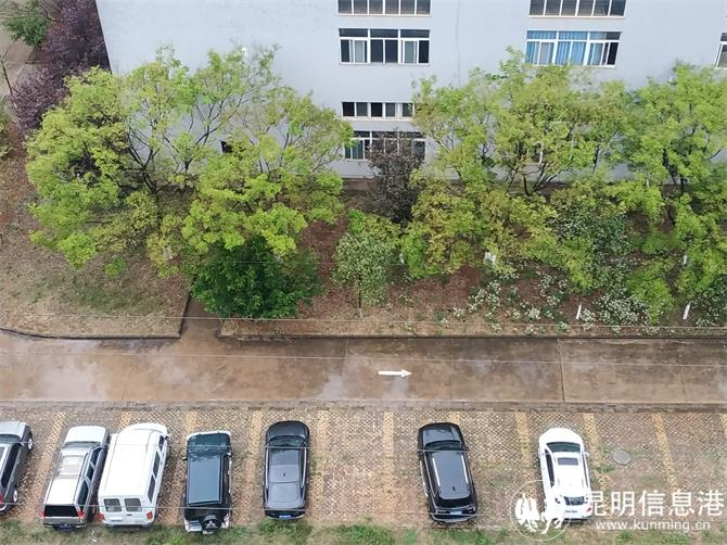 昆明"求雨"成功 朋友圈欢呼|昆明市|降雨_新浪新闻