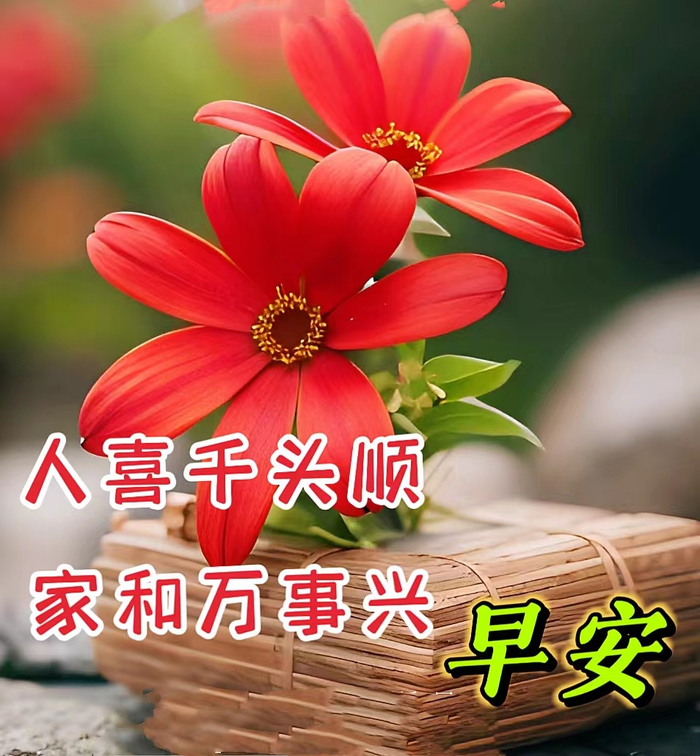 2024年3月22日周五早安,今天刚出最新早上好图片,早上好最漂亮的图片,