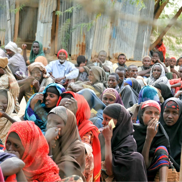 这个地方,是一亿世界难民的缩影|埃塞俄比亚|苏丹|难民营_新浪新闻